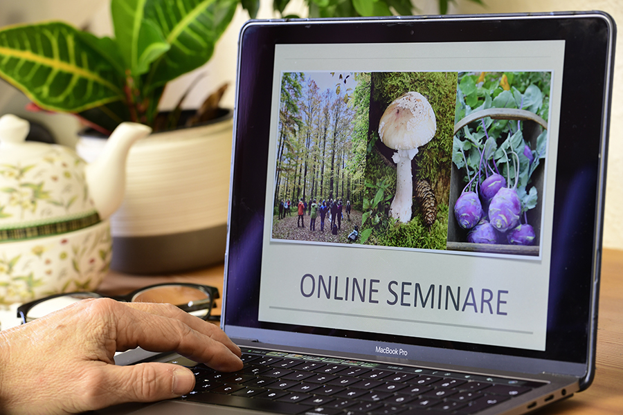 Onlineseminare